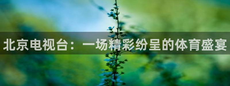 球神直播体育在线：北京电视台：一场精彩纷呈的体育盛宴